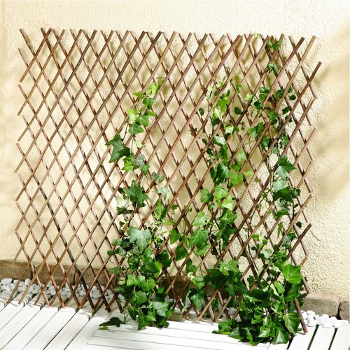 Rankgitter, variabel - 2