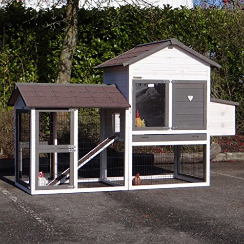 Idmarket Poulailler Xxl Clapier En Bois Avec Pondoir