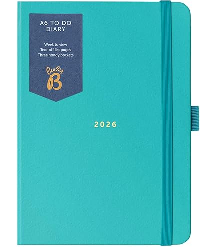 Aazon.co : Letts Of London Verona Sli Week To View 2023 Diary - Pink