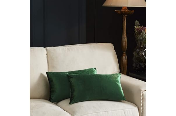 amazon pillows for sofa