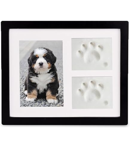 Empreinte De Patte De Chien Ou De Chat Avec Motif En Forme De Cœur | Vecteur Gratuite