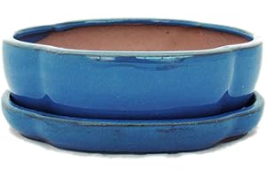 EXOTENHERZ Bonsai pot avec soucoupes-bleu-taille 3/haitang modèle ovale-i5 l 17 cm-largeur : 14 cm-hauteur 5,5 cm