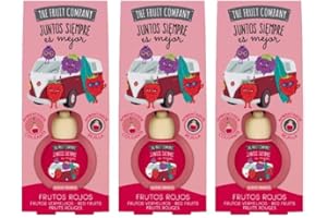 TIENDIFY - Pack de 3 Ambientadores Coche 2en1 The Fruit Company | Aroma Frutal, Absorbe Olores, Sin Alcohol, Extractos Naturales | Rejilla o Colgante | Larga Duración +45 Días (FRUTOS ROJOS)