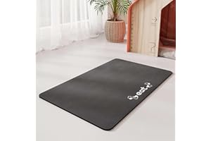 GIBZ Alfombra Comedero Absorbente para Perro Gato, Tapete para Comer de Diatomeas, Almohadilla Lavable Antideslizante, 35x50cm