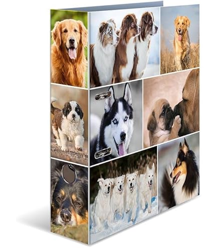 HERMA Verzamelmap A4 katten, kinderen hoekspanner-map van kunststof met diermotief, elastiek, binnenklep en opdruk aan de binnenkant, voor jongens en meisjes HERMA Verzamelmap A4 katten, kinderen hoekspanner-map van kunststof met diermotief, elastiek, binnenklep en opdruk aan de binnenkant, voor jongens en meisjes