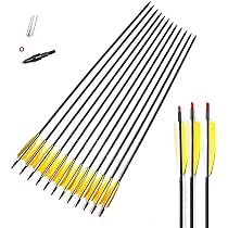 12 Flèches En Carbone DIY - Diamètre Intérieur 6.2mm | Spine 250-800 | Pour Arc à Poulies Ou Recurve