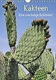 Kakteen - Eine stachelige Schönheit (Wandkalender 2019 DIN A4 hoch): Ein Kalender, der Kakteen auf 13 Seiten einmal in einem anderen Licht, einer ... (Monatskalender, 14 Seiten ) (CALVENDO Natur) by 
