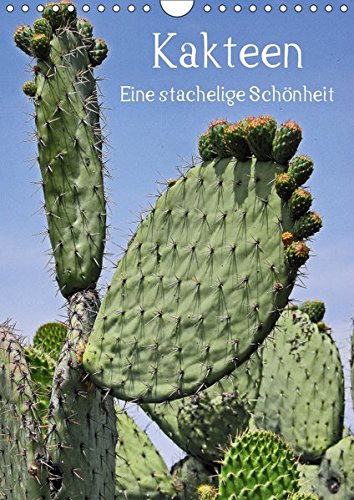 Kakteen - Eine stachelige Schönheit (Wandkalender 2019 DIN A4 hoch): Ein Kalender, der Kakteen auf 13 Seiten einmal in einem anderen Licht, einer ... (Monatskalender, 14 Seiten ) (CALVENDO Natur)