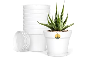 HOMEUOUZ Plastic Plant Pots Indoor, 8 Pack 4Inch/10CM Small Plant Pots Flower Pot with Drainage Holes and Tray,Modern Decorative Planter Pot for Succulent and All House Plants(White)