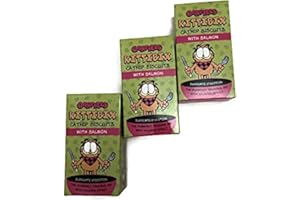 Garfield Salmon Kittibix Catnip Biscuits With Salmon Catnip Treats For Cats 3 Pack Bundle