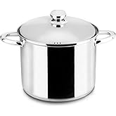 Polished Stainless Steel Induction Pot with Lid &ndash; 30 cm Diameter, Metallic Colour