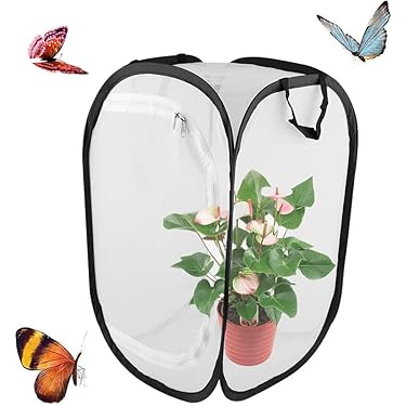 Vlinder Habitat Kooi Grote Ruimte Brede Hoge PVC Buis Outdoor Mesh Terrarium 16,5 X 29,9 X 48 Inch Vlinder Habitat Kooi Grote Ruimte Brede Hoge PVC Buis Outdoor Mesh Terrarium 16,5 X 29,9 X 48 Inch