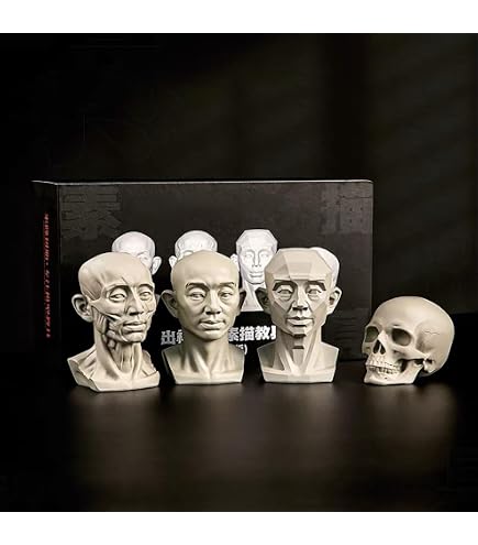 thumbnail image 2 of Artist Head Model For Drawing - Rotating Planes Of Face Manikin 2 of 13