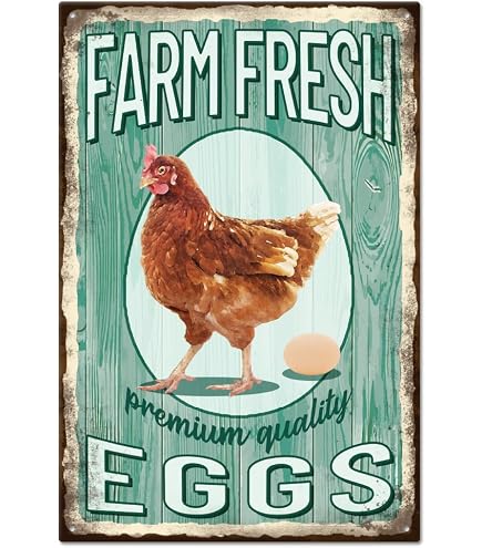 Targa In Metallo Vintage “Fresh Eggs For Sale” – 40,6×30,5 Cm – Arredo Shabby Chic Per Cucina O Giardino