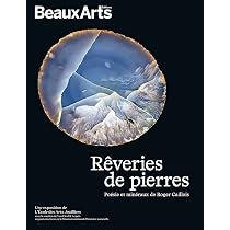 Amazon.fr - La Lecture des Pierres - Caillois, Roger - Livres