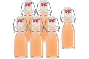 hocz 10er Set Bügelflaschen Bügelflasche Glasflaschen 100ml mit Bügelverschluss zum Selbstbefüllen Glas Bügelflachen