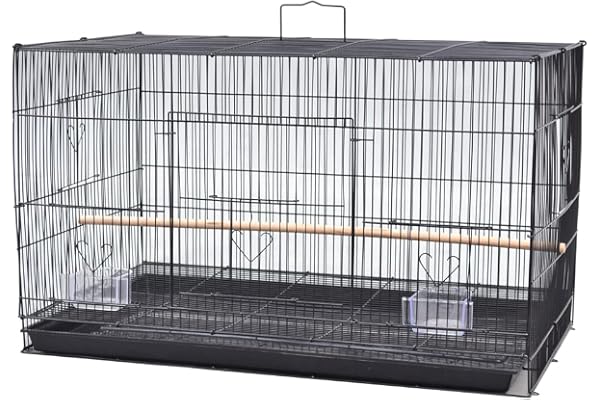 HUOLE Volière Intérieur Cage Oiseaux Exterieur Métal pour Perruches Perroquets Pinsons Cockatiels Conures Inséparables Canaris 75.5 * 45 * 45cm