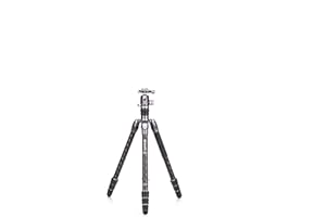 Benro Rhino Carbon Fibre Two Series Tripod/Monopod with VX25 Ballhead, 4 Leg Sections, Twist Leg Locks, Padded Carrying Case (FRHN24CVX25) MAX Height 169 cm