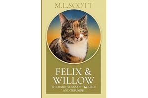 Felix & Willow The Barn Years of Trouble and Triumph