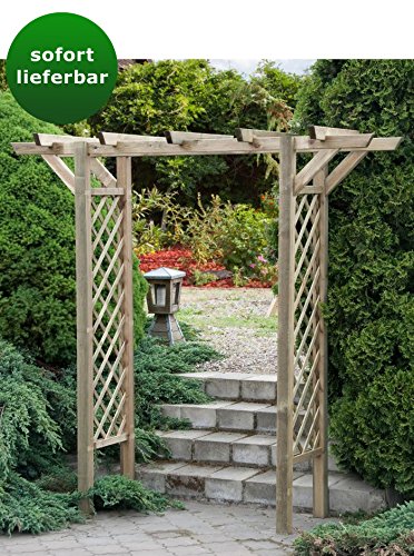 Pergola "Blauregen" gerade - Abmessung: 220 x 80 x 215 cm (L x B x H)