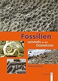Image de Fossilien sammeln an der Ostseeküste: Trilobiten, Seeigel, Donnerkeile und Co. - Fossilführende Ge