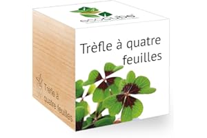 Feel Green Ecocube Trèfle À Quatre Feuilles, Idée Cadeau (100% Ecologique), Grow-Your-Own/Kit Prêt-à-Pousser, Plantes Dans Des Cubes En Bois 7.5cm, Produit En Autriche