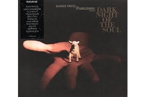 Dark Night of The Soul