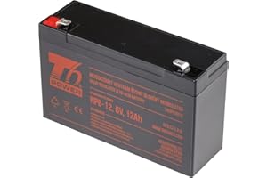 Batería T6 Power para NP6-12, 6 V, 12 Ah