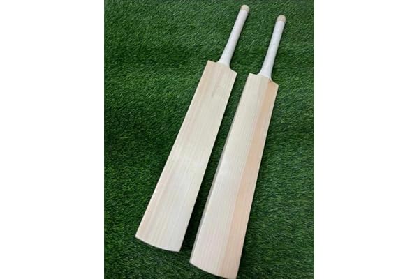Sports Kashmir Willow Plain Cricket Bat