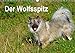 Produktbild Der Wolfsspitz (Wandkalender 2019 DIN A3 quer): Der Wolfsspitz zählt zu den ältesten Hunderassen und ist der größte Vertreter der Spitze. (Monatskalender, 14 Seiten ) (CALVENDO Tiere)