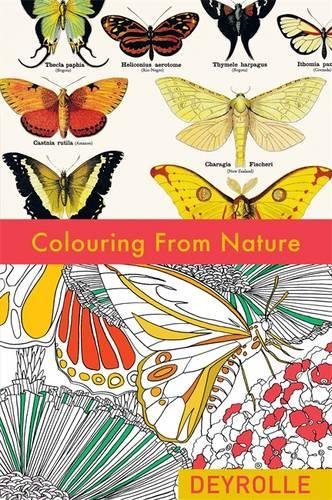 Download Colouring from Nature (Colouring Books) Download Colouring from Nature (Colouring Books)