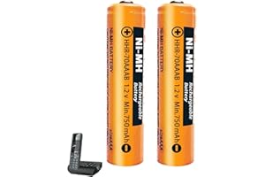 ZZWJBCYLE NI-MH Akku 750mAh (1.2V) für Panosonic Schnurlos Telefone, Wiederaufladbare Batterien AAA für Gigaset Mobilteile - 2er Pack