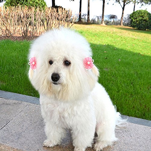 Gosear20-PCS-Pet-Hair-Bows-Hair-Band-Dog-Puppy-Cat-Grooming-Accessories-Random-Color-and-Style