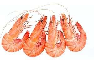 LONDON GROCERY Cooked Shell-On Frozen Cold Water Prawns 90–120 Prawns 5kg – Premium Wild-Caught Seafood for Salads, Cocktails, BBQ & Gourmet Dishes