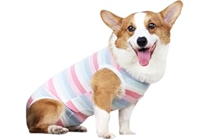 JODSEN Combinaison de récupération de Chien pour Chiens et Chats, Pyjamas pour Chiens, vêtements de Nuit Respirants pour Chiens pour Collier de Chiot après,empêche Le léchage,Les morsures (Rose-XL)
