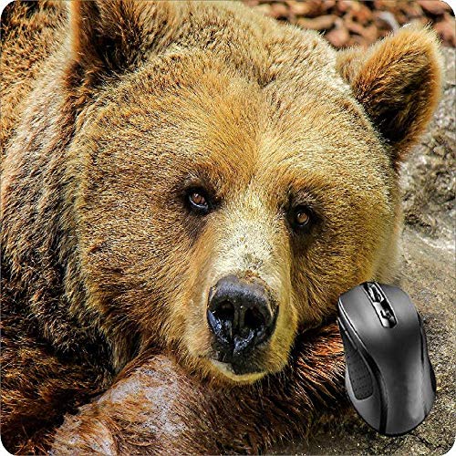 Preisvergleich Produktbild BGLKCS