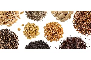 GHINO DI TACCO SEMI PEPERONCINO PETER PEPPER RED+ GUIDA ALLA COLTIVAZIONE …