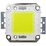 Tesfish 100W LED Chip White Bulb High Power Energy Saving Lamp Chip (100W white)