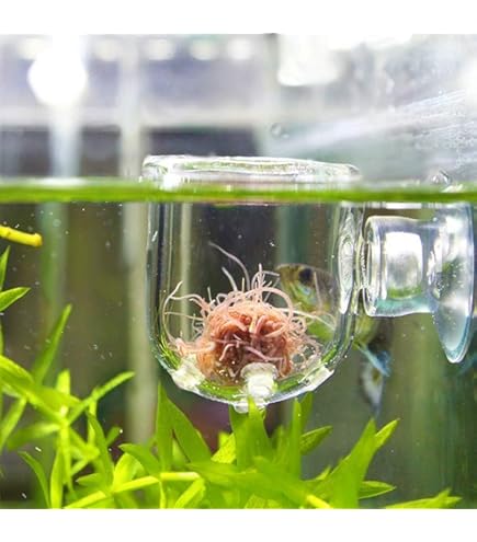 Feeding Ornamental Fish With Live Worms: Ultimate Guide for Vibrant Health