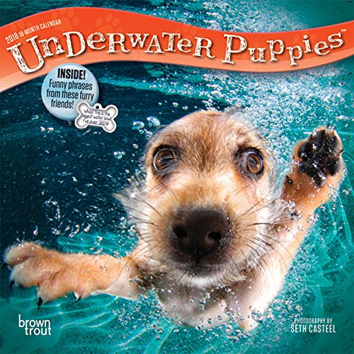 Underwater Puppies 2018 Mini Wall Calendar Underwater Puppies 2018 Mini Wall Calendar