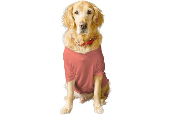 Ruse Basic Summer Dog T-Shirt Solid Pets Crew Neck Half Sleeves Shirt/Apparel/Clothes/Tees Gift for Dogs(Salmon) /Large (Full Grown Desi/Stray, Doberman etc.)