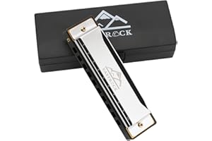 EastRock Harmonika C-Dur Harmonika mit Box 10-Loch Harmonika für Schüler, Fortgeschrittene und Anfänger (10-Loch,Silber)