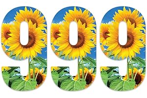Pack of 3 Sunflower Bin Number Sticker - 9 ideal for Home, Office, Classroom Decoration, Out Door Wheelie Bins, Dustbin V1099 Packwith®
