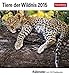 Tiere der Wildnis Postkartenkalender 2015: Kalender mit 53 Postkarten by 