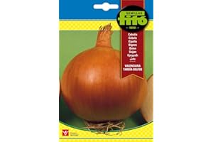 FITO Semillas Fitó 1234 - Semillas de Cebolla Valenciana Tardía Delfos