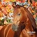 Pferde - T & C-Kalender 2012 by