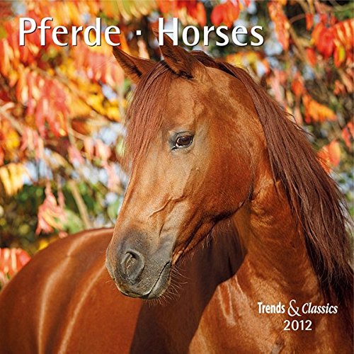 Pferde - T & C-Kalender 2012