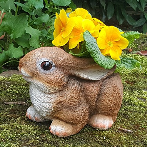 Häschen als Gartendeko Gartenfigur Pflanztopf Schuh Blumentopf Übertopf Hase Tiere Wildlife Deko Figur Frog
