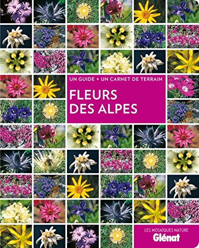 Download Fleurs des Alpes