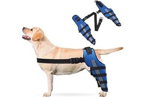 PETCUTE 2 Stück Kniebandage Hund mit Reflexstreifen – Verstellbare Beinstütze bei ACL- & Bandverletzungen, Starke Stabilisierung & Hinterbein-Schutz für schnelle Genesung-S(Blau)